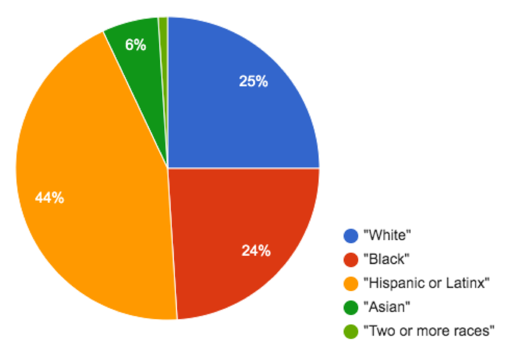 pie chart: 25% White, 24% Black, 44% Hispanic/Latinx, 6% Asian, tiny wedge 2 or more races
