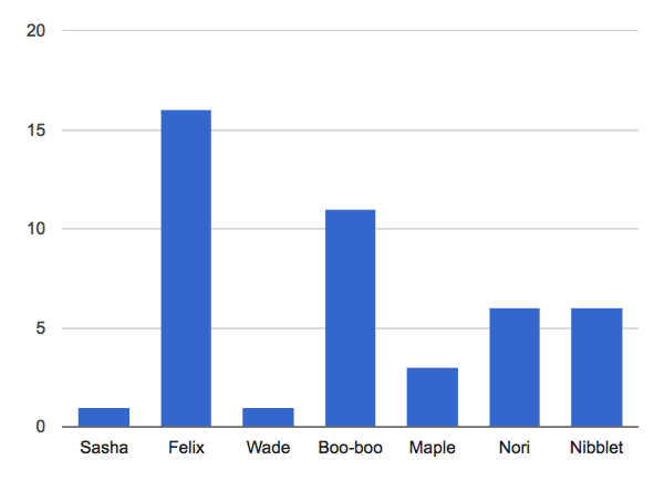 Bar Chart: Sasha and Wade are 1 years old, Felix is 16 years old, Booboo is 11 years old, Maple is 3 years old, Nori and Nibblet are 6 years old