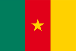 Cameroon flag: 3 vertical stripes, green on L, red in center, yellow on right. solid 5-pointed yellow star in the center of the flag