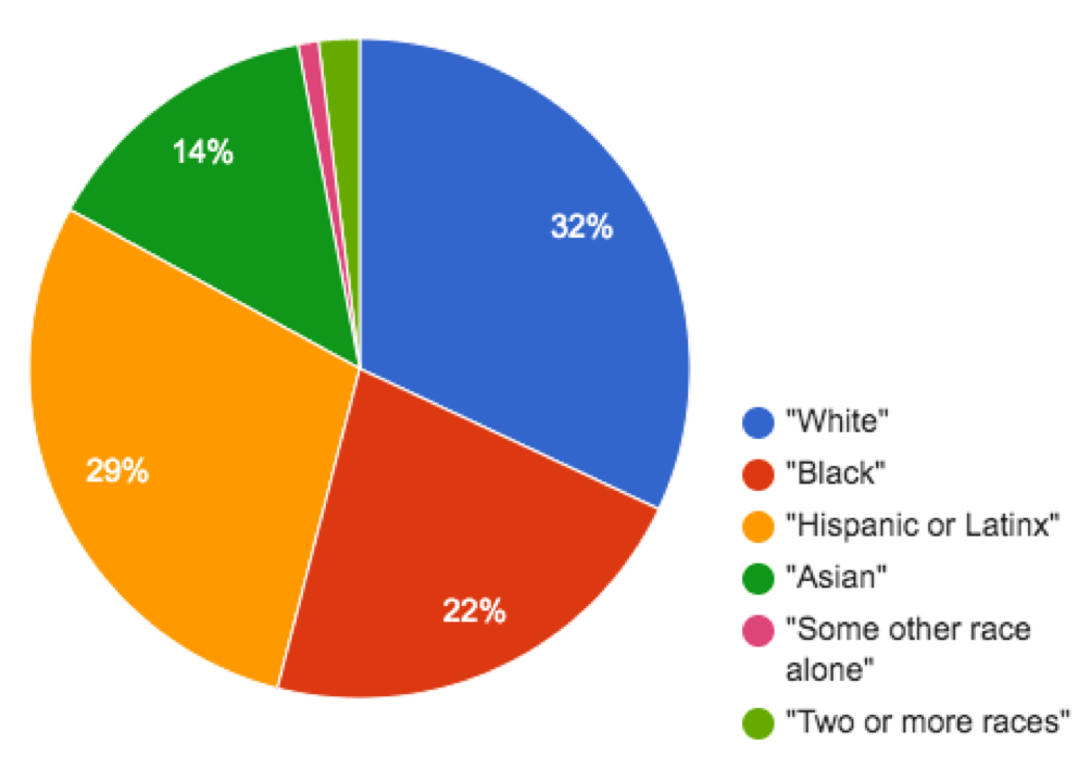 pie chart: 32% White, 22% Black, 29% Hispanic/Latinx, 14% Asian, small wedges for some other race alone and 2 or more races