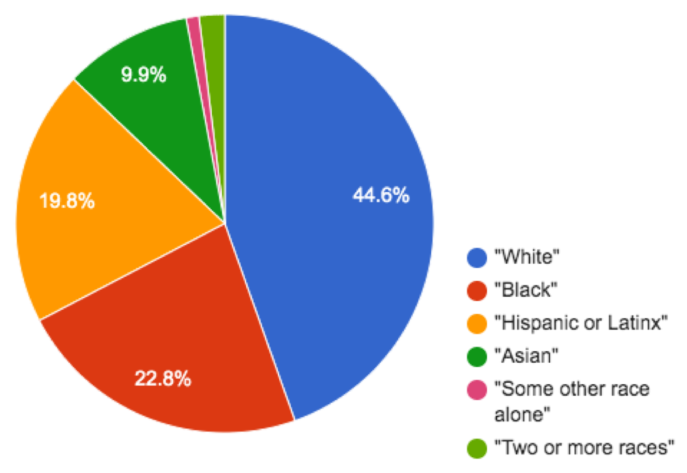 pie chart: 44.6% white, 22.8% Black, 19.8% Hispanic/Latinx, 9.9% Asian, Small wedges for some other race alone and 2 or more races