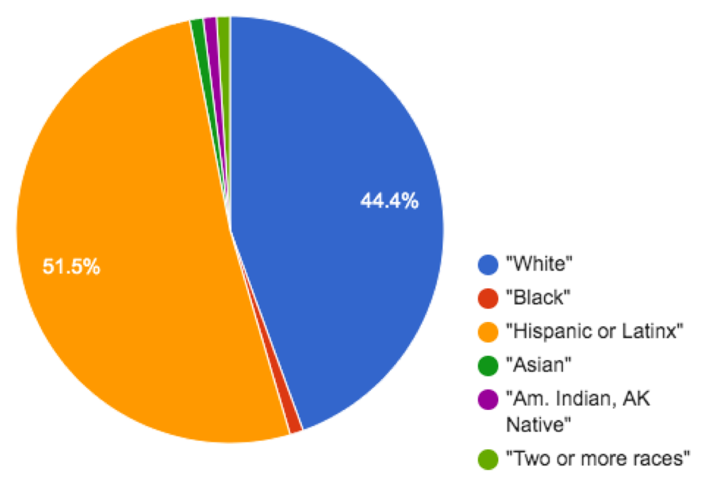 pie chart: 44.4% White, small wedge for Black, 51.5% Hispanic/Latinx, small wedges for Asian, American Indian/Alaska Native, 2 or more races